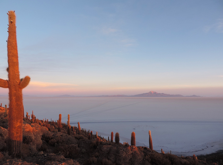 Incahuasi et ses cactus Uyuni