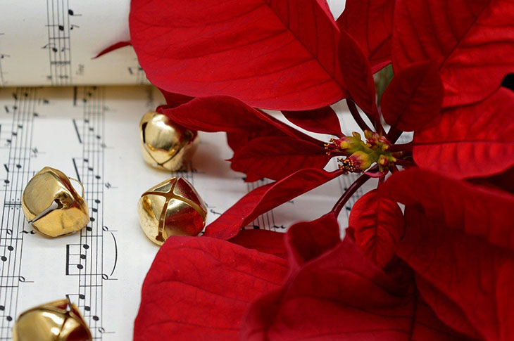 Chants de Noël - Arts et Vie - Voyages culturels