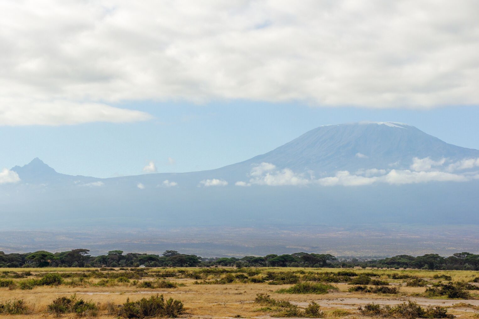 Vue sur les cimes du Kilimandjaro depuis les plaines du parc d’Amboseli