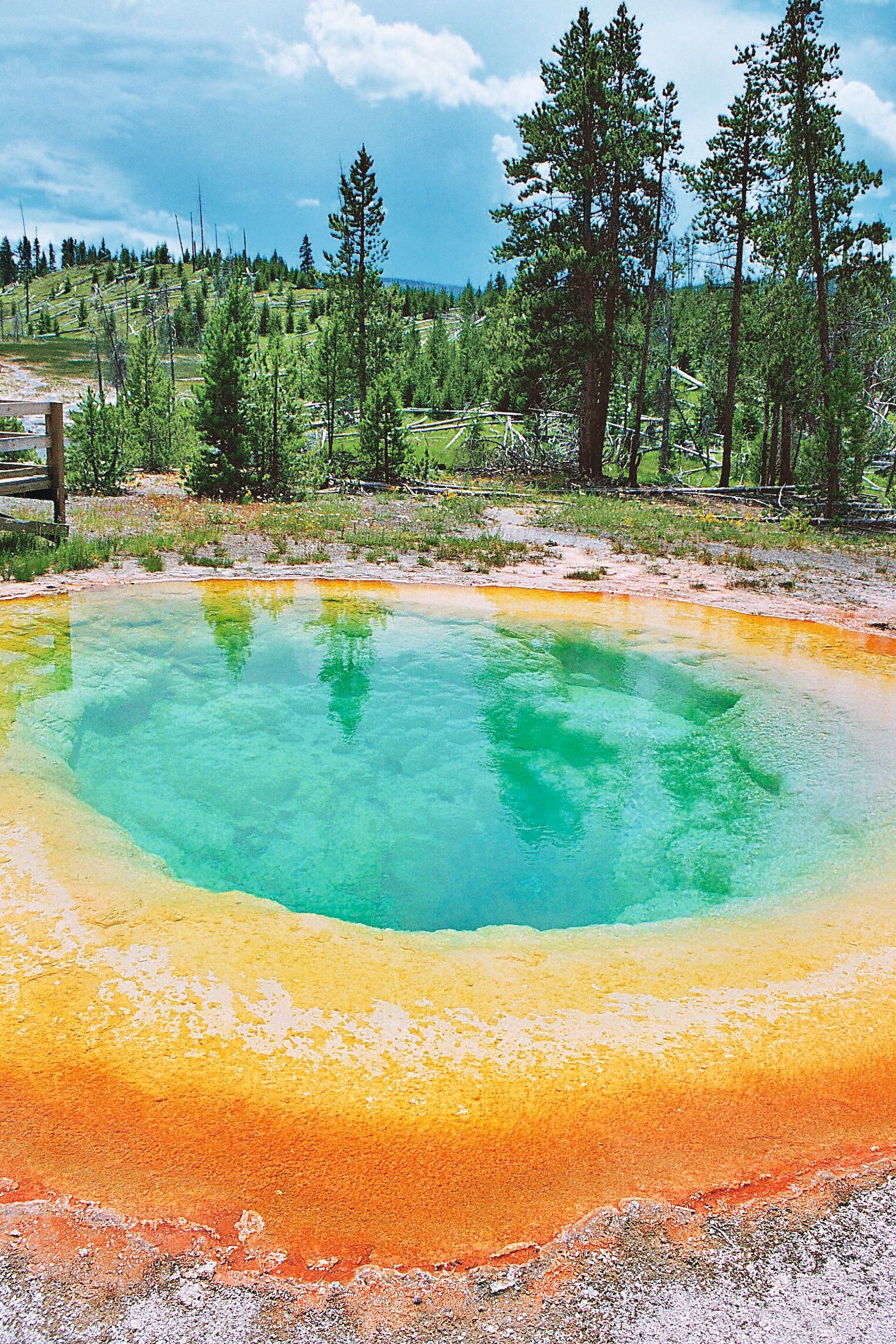 Un bassin de source chaude dans le parc de Yellowstone aux États-Unis