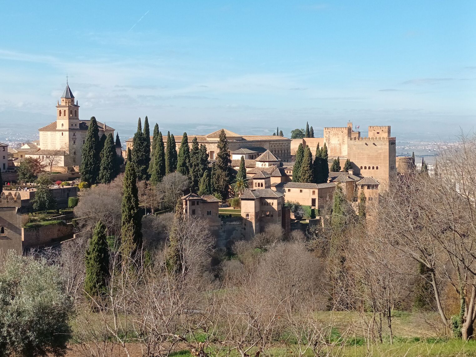 Vue sur l'Alhambra avec des arbres hivernaux en premier plan.